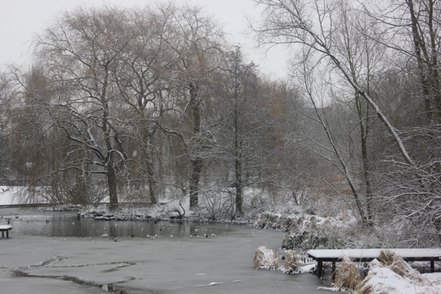 Hiver 2013 - Sous la neige